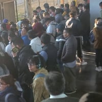 Persona se arroja a las vías de la Línea 12 del Metro CDMX hoy 25 de febrero