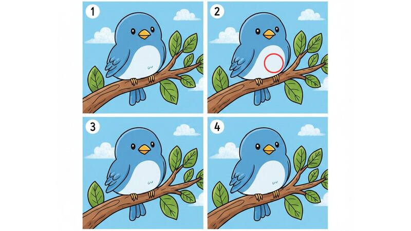 acertijo visual pájaros solución.jpg
