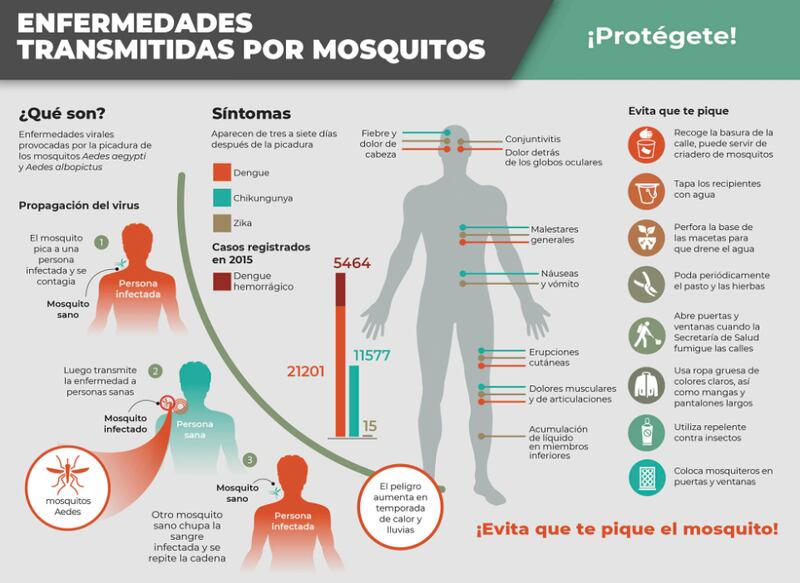 dengue.PNG