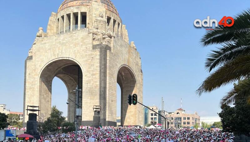 Marcha "Por la defensa del INE"