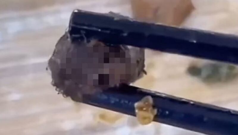 El alumno de China viralizó la imagen de la cabeza de rata que encontró en su comida escolar.