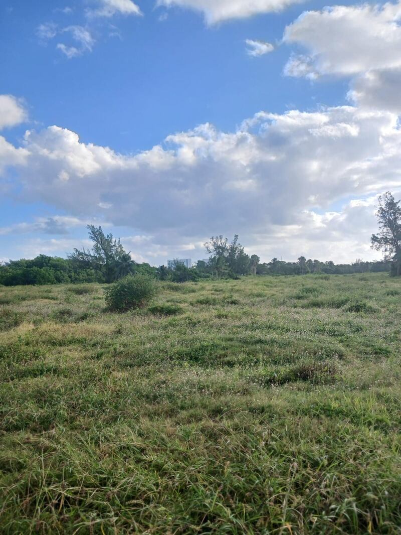 Campo Pak To Pak olvidado por Fonatur