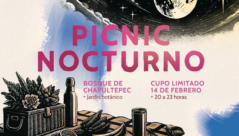 Picnic Nocturno 2025