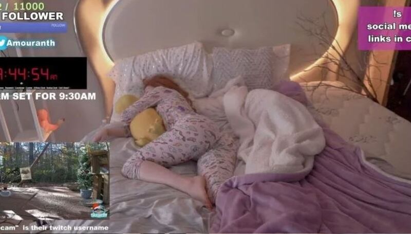 ¿Cuánto gana Amouranth por los streams donde duerme?