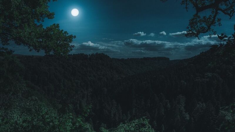 Luna llena gusano marzo 2.jpg