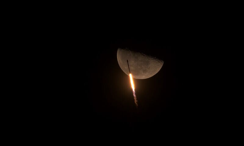 Luna, fotos, 2021 4.jpeg