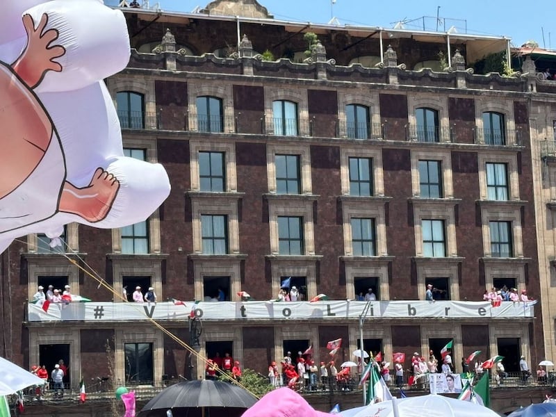 Manifestación 'La Marea Rosa'